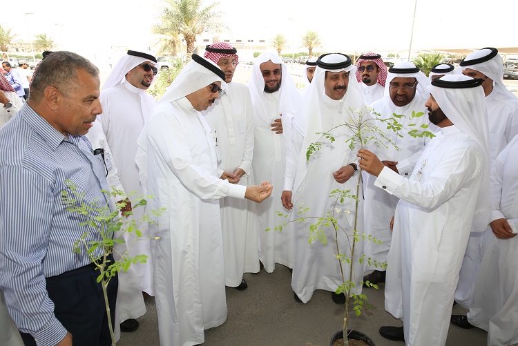 شراكة بين الامانة والشؤون الصحية لتفعيل مبادرة ( زراعة مليون شجرة )