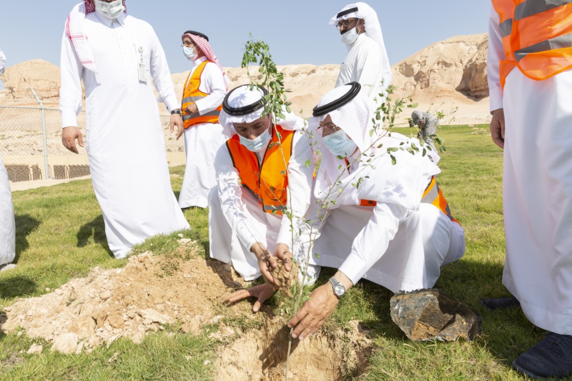 أمانة الأحساء تُطلق حملة إتمام مبادرة (زراعة مليون شجرة)، وغرس 720 ألف شجرة منذ إطلاق المبادرة